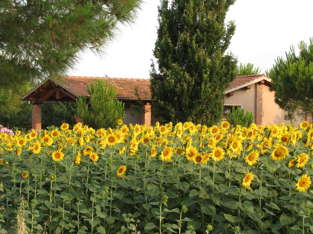 Villa Agriturismo Salcino Grosseto Exterior foto