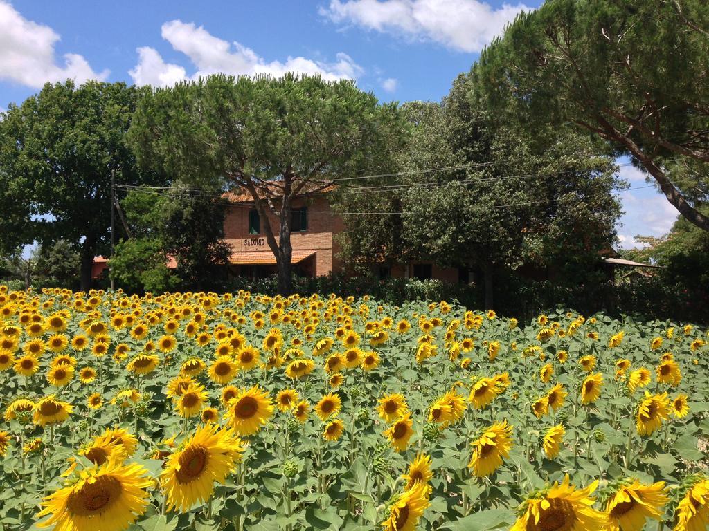 Villa Agriturismo Salcino Grosseto Exterior foto